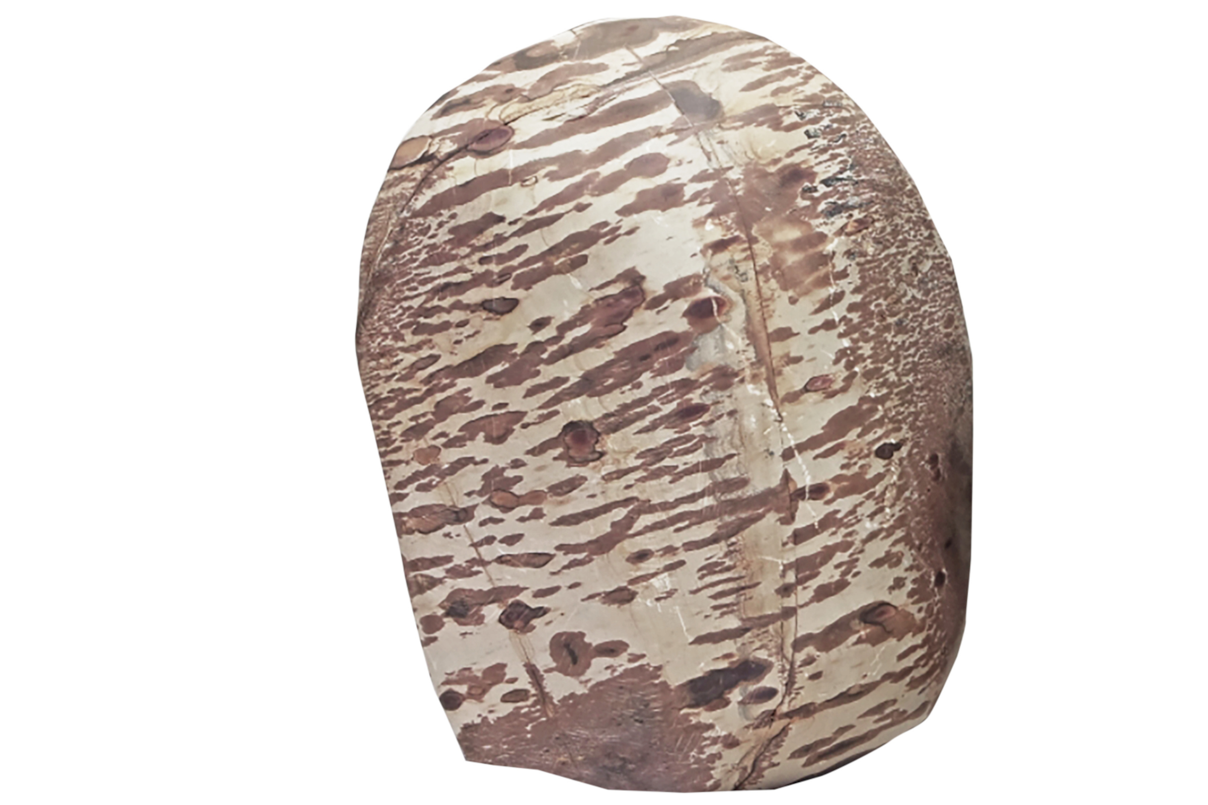 Hobby Cattle Rock L (2,5–3,5 kg)